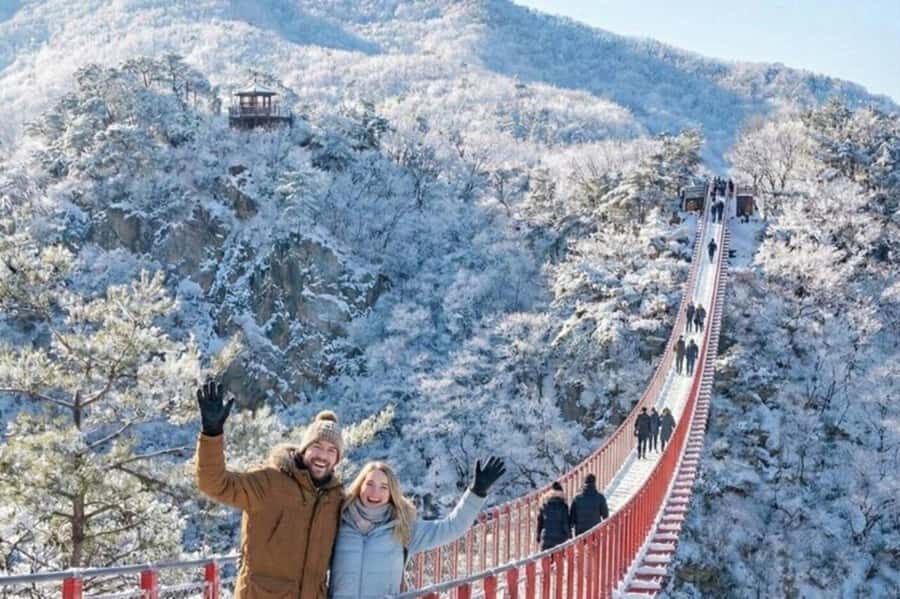 From Seoul: DMZ Tour & North Korean Defector Talk - A Thorough Look at the DMZ Tour Experience