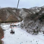 From Seoul: Elysian Ski Resort One Day Tour - What We Think About the Value