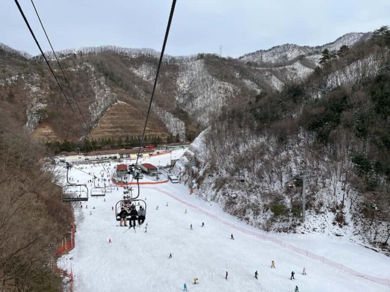 From Seoul: Elysian Ski Resort One Day Tour - What We Think About the Value