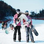 From Seoul: Elysian Ski Resort with Rental & Basic Lesson - Final Thoughts: Who Will Love This Tour?