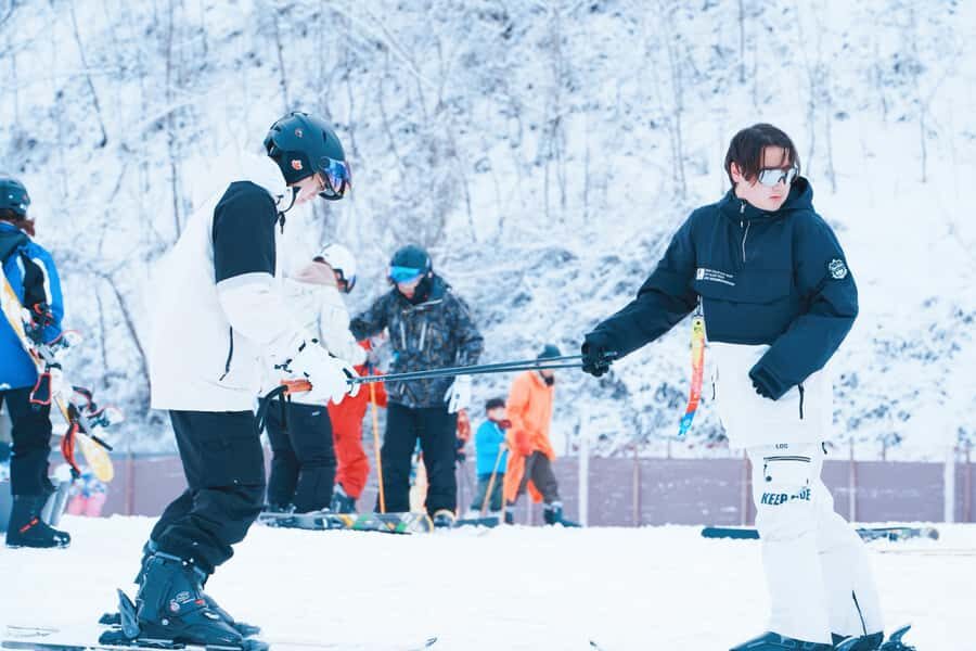 From Seoul: Elysian Ski Resort with Rental & Basic Lesson - Who Should Consider This Tour?