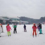 From Seoul: Jisan Forest Resort Ski Full-Day Tour or Shuttle - What Reviewers Love Most