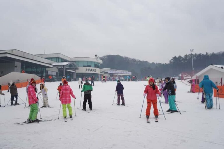 From Seoul: Jisan Forest Resort Ski Full-Day Tour or Shuttle - What Reviewers Love Most