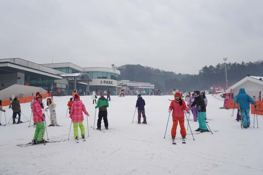 From Seoul: Jisan Forest Resort Ski Full-Day Tour or Shuttle - What Reviewers Love Most