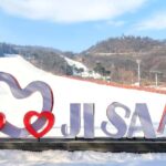 From Seoul: Jisan Forest Ski Resort One Day Tour - Variety of Options for Every Skill Level