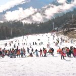 From Seoul: Jisan Forest Ski Resort One Day Tour - Comprehensive Review of the Jisan Forest Ski Resort One Day Tour