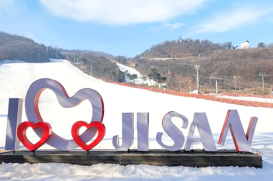 From Seoul: Jisan Forest Ski Resort One Day Tour - Variety of Options for Every Skill Level