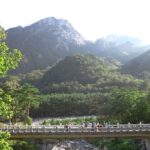 From Seoul: Mt. Seorak & Cherry Blossom & Foodie Tour - Practical Details and Value