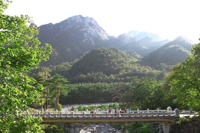 From Seoul: Mt. Seorak & Cherry Blossom & Foodie Tour - Practical Details and Value