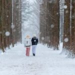 From Seoul: Nami Island, Korean Garden & Rail Bike Day Trip - The Itinerary Breakdown