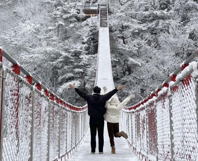 From Seoul: Romantic Winter Wonderland Tour - What Makes This Tour Stand Out?