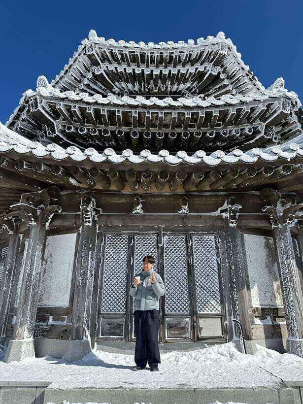 From Seoul: Snow-Capped Beauty of Deogyusan National Park - The Journey to Deogyusan: What to Expect