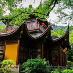 From Shanghai: Hangzhou Private Day Tour by Bullet Train - Authentic Experiences and Hidden Gems