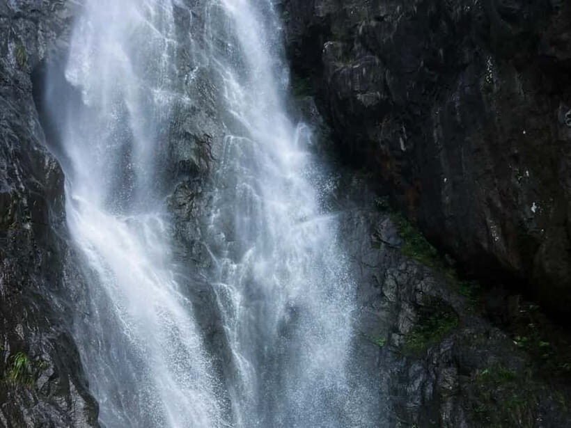 From Shanghai: Xiaoshao Ancient Road Journey - Exploring Xiaoshan: Temples and Tea Beneath a Ginkgo