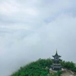 From Shanghai: Yixing Bamboo Sea and Zisha Pottery Day Trip - The Itinerary in Detail: What to Expect