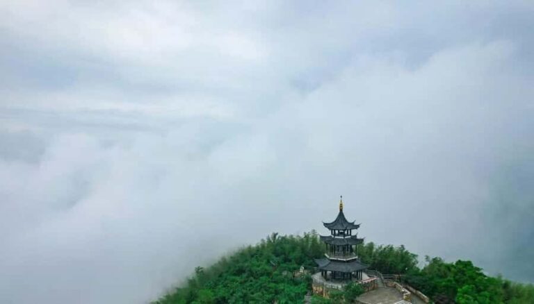 From Shanghai: Yixing Bamboo Sea and Zisha Pottery Day Trip - The Itinerary in Detail: What to Expect