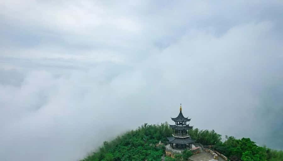 From Shanghai: Yixing Bamboo Sea and Zisha Pottery Day Trip - The Itinerary in Detail: What to Expect