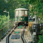 From Shenzhen: Hong Kong Day with Harbour, Peak & Ferry Ride - Practical Considerations and What You’ll Love