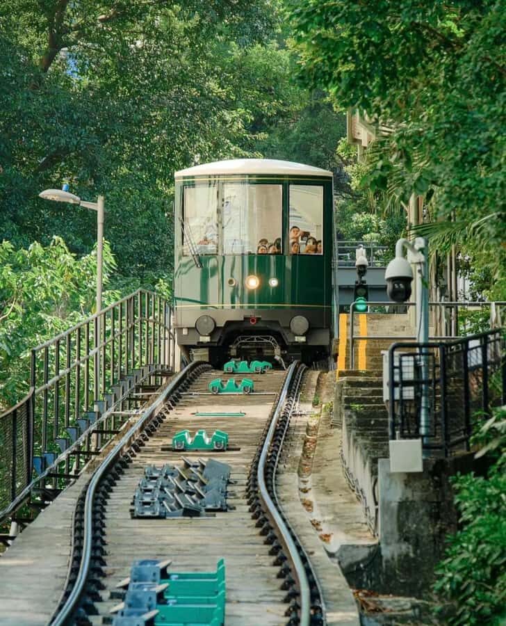 From Shenzhen: Hong Kong Day with Harbour, Peak & Ferry Ride - Practical Considerations and What You’ll Love