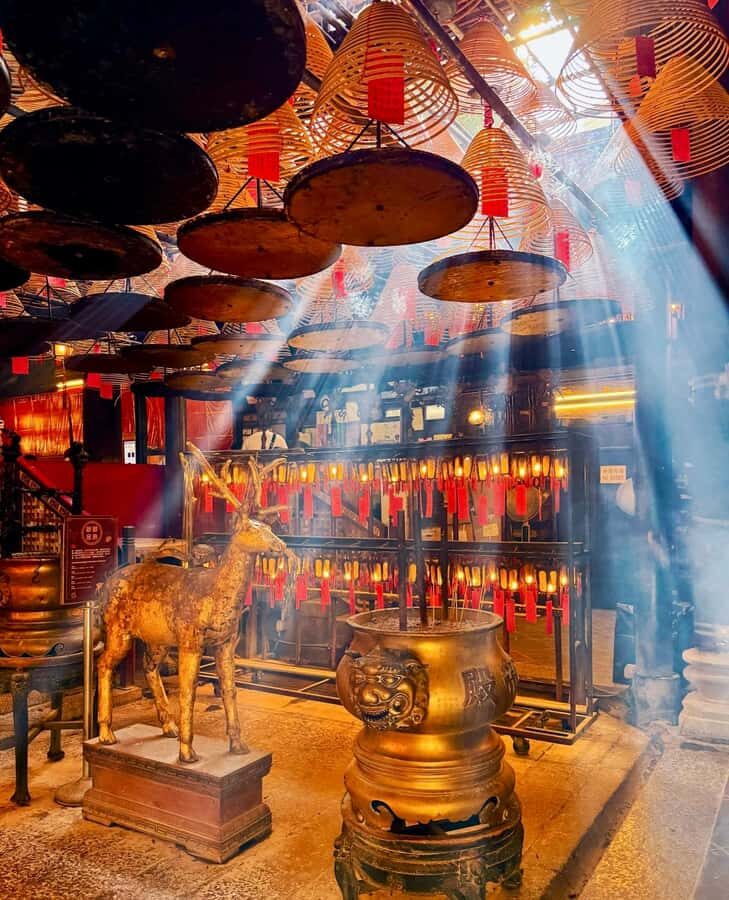 From Shenzhen: Hong Kong Heritage, Skyline & Harbour View - The Itinerary Breakdown: What to Expect on This Hong Kong Day Trip