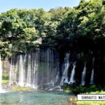 From Shinfuji: Fuji Nature Tour with Guide and Vehicle - What Travelers Should Know