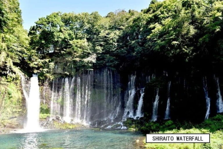 From Shinfuji: Fuji Nature Tour with Guide and Vehicle - What Travelers Should Know