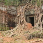 From Siem Reap: Beng Mealea and Koh Ker Temple Day Trip - Deep Dive into the Itinerary