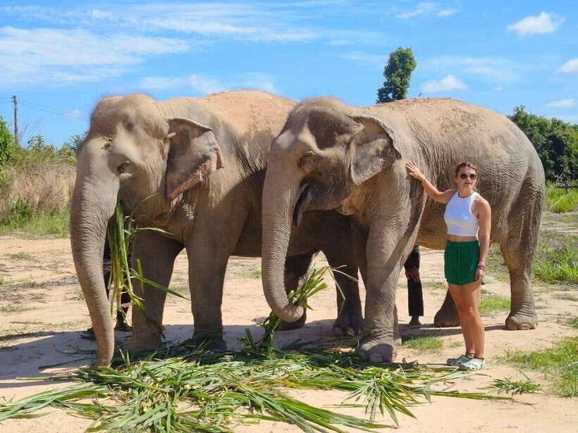 From Siem Reap: Elephant Sanctuary Experience with Transfers - Why This Tour Offers Great Value