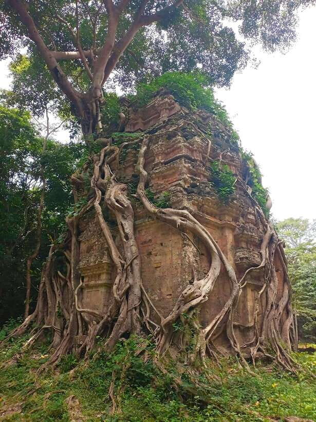 From Siem Reap: Sambor Prei Kuk and Kompong Kdei Day Trip - What Makes This Tour Special?