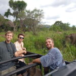 From Sigiriya: Minneriya National Park Half-Day Jeep Safari - Why This Tour is a Great Choice