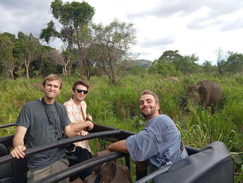 From Sigiriya: Minneriya National Park Half-Day Jeep Safari - Who Should Consider This Tour?