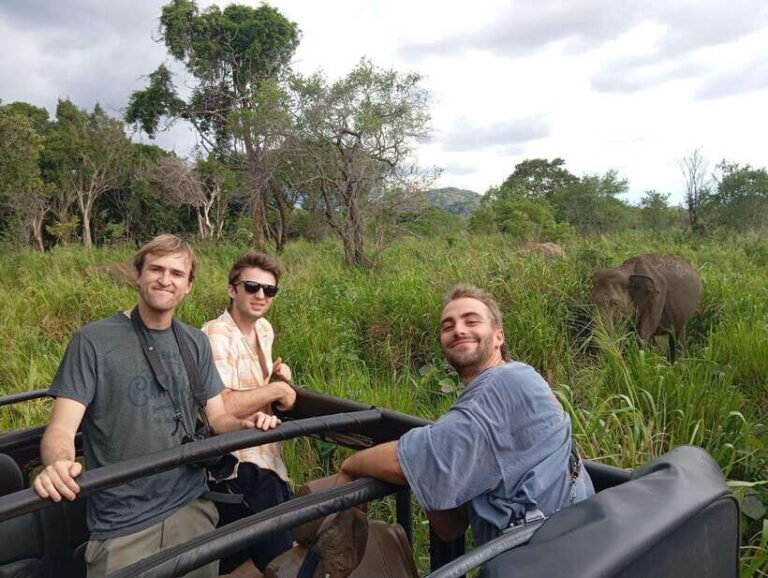 From Sigiriya: Minneriya National Park Half-Day Jeep Safari - Why This Tour is a Great Choice