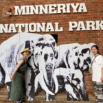From Sigiriya: Minneriya National Park Private Jeep Safari - Who Is This Tour Best For?