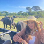 From Sigiriya: Minneriya National Park Private Jeep Safari - The Experience in Detail