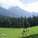 From Srinagar: Sonmarg Day Trip - Final Thoughts