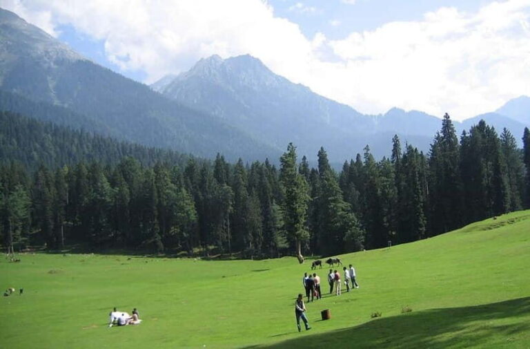 From Srinagar: Sonmarg Day Trip - Final Thoughts