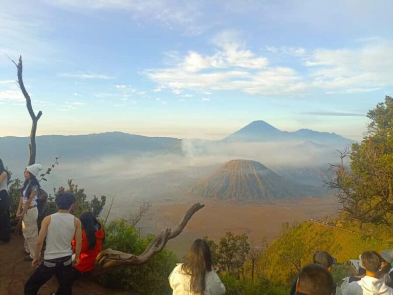 From Surabaya: Bromo, Sewu, Sukamade, and Ijen 5-Day Tour - Practical Aspects of the Tour