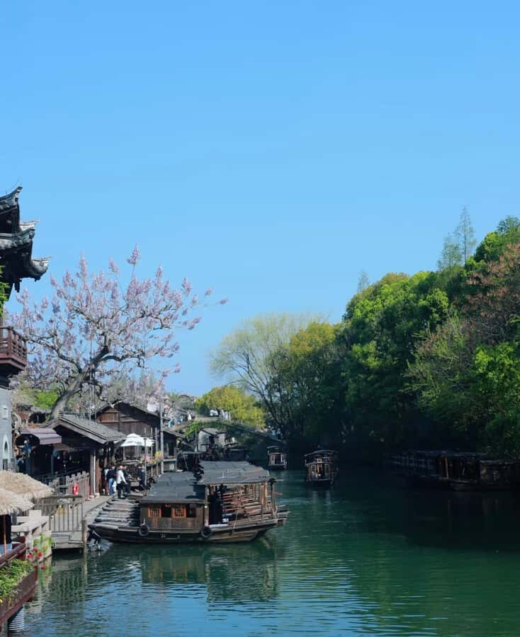 From Suzhou: Wuzhen Water Town Tour with Riverside Essence - Practical Details and What to Expect