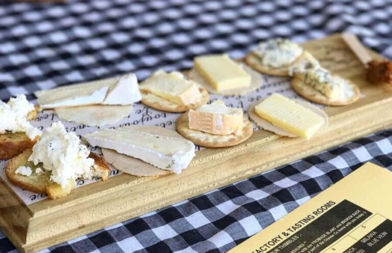 From Sydney: Award-Winning Hunter Valley Wine & Cheese Tour - Who Will Love This Tour?