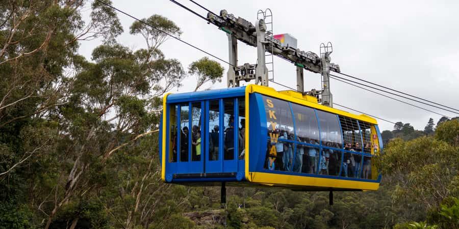 From Sydney: Blue Mountains, Scenic Railway, & Sydney Zoo - The Value of This Tour