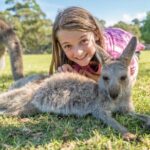 From Sydney: Day Tour to Jervis Bay with Beaches and Koalas - Who Will Love This Tour?