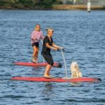 From Sydney: Full Day Tour of Golden Beaches and Ocean Vistas - The Value Proposition