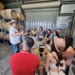 From Sydney: Hunter Valley Wine, Gin & Food Tastings Tour - What Makes This Tour Stand Out