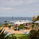 From Sydney: Royal National Park Private Tour - Transportation and Group Dynamics