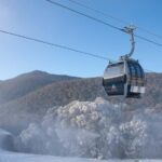 From Sydney: Thredbo Snowy Mountains tour - Why This Tour Offers Great Value