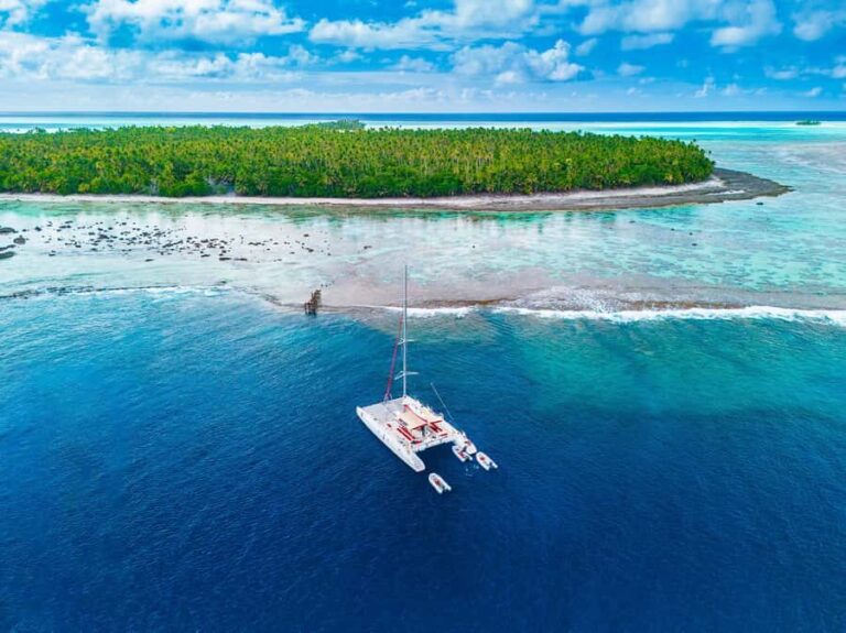 From Tahiti: Tetiaroa Island Tour by Sailing Catamaran - Authentic Experiences and Highlights from Reviewers