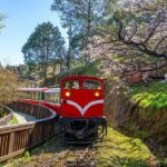 From Taipei: Alishan 2 Days Private Tour - Who Is This Tour Best For?