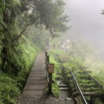 From Taipei: Taipingshan National Forest Private Day Tour - Relaxing at Jiuzhize Hot Springs
