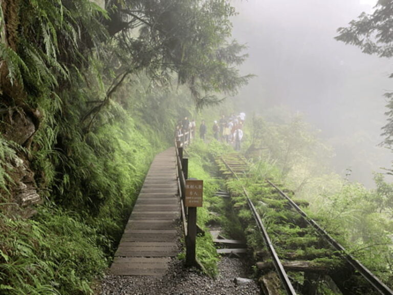 From Taipei: Taipingshan National Forest Private Day Tour - Relaxing at Jiuzhize Hot Springs