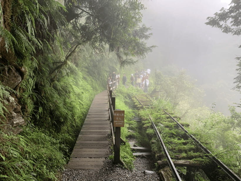 From Taipei: Taipingshan National Forest Private Day Tour - Relaxing at Jiuzhize Hot Springs